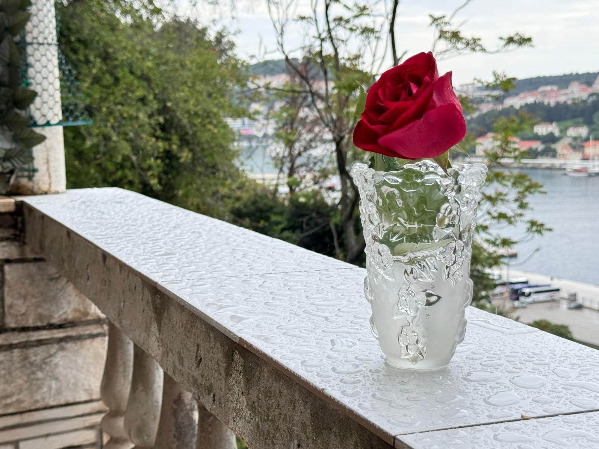 Dalmatian House, Spacious Stone Terraces, Balcony , Views Vakantiehuis *