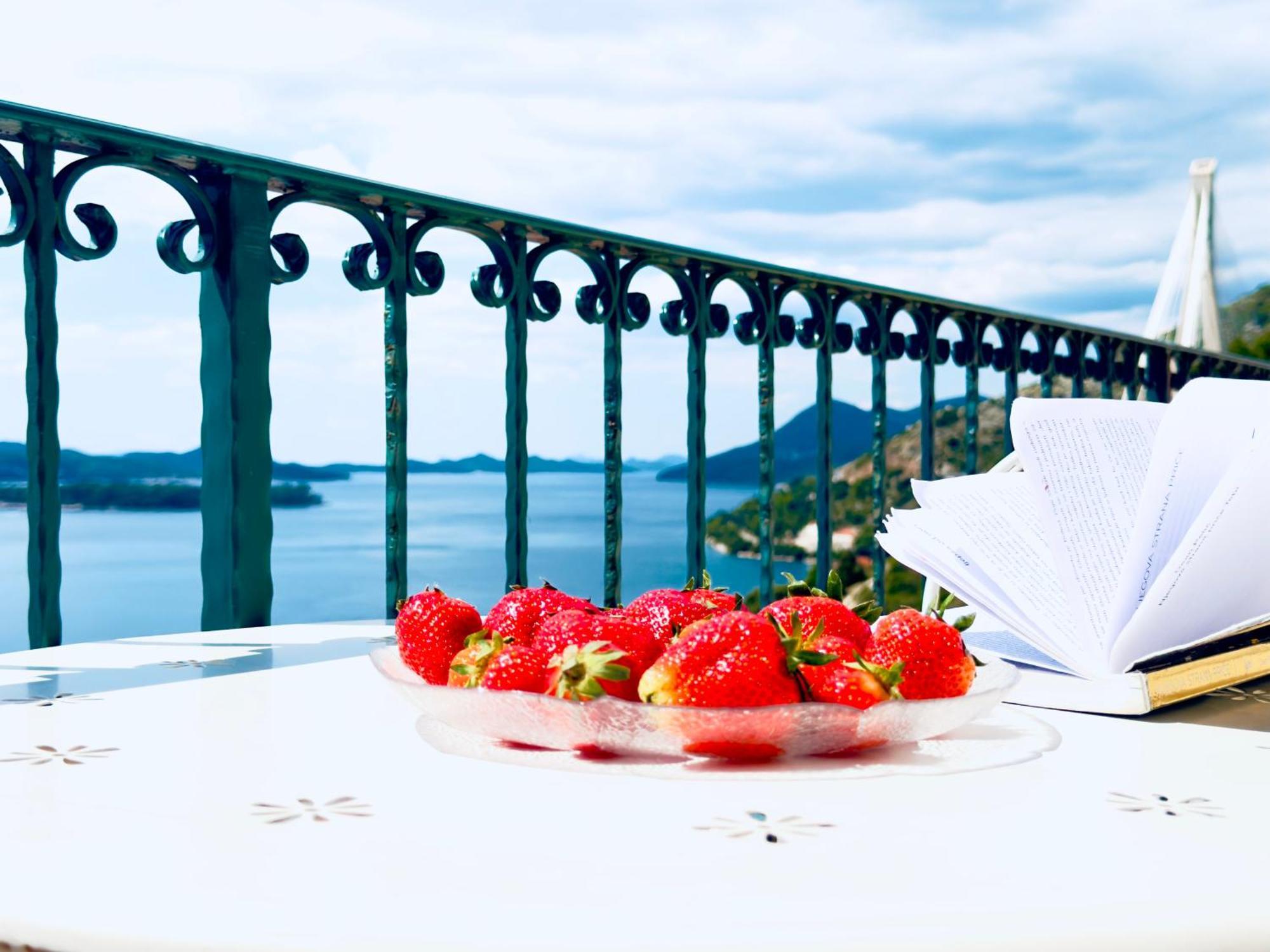 Dalmatian House, Spacious Stone Terraces, Balcony , Views